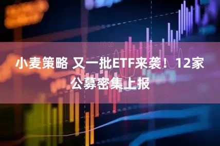 小麦策略 又一批ETF来袭！12家公募密集上报