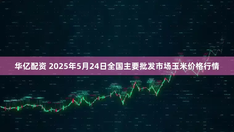 华亿配资 2025年5月24日全国主要批发市场玉米价格行情