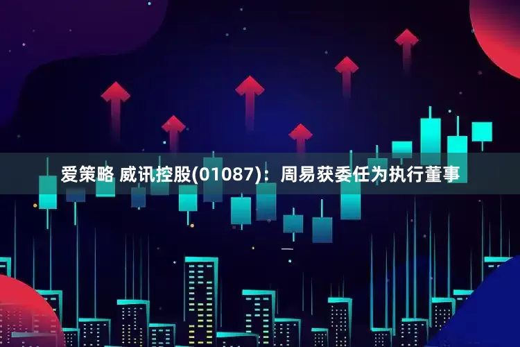 爱策略 威讯控股(01087)：周易获委任为执行董事