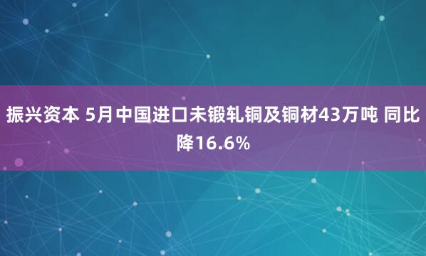 振兴资本 5月中国进口未锻轧铜及铜材43万吨 同比降16.6%