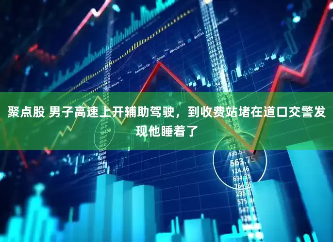 聚点股 男子高速上开辅助驾驶，到收费站堵在道口交警发现他睡着了