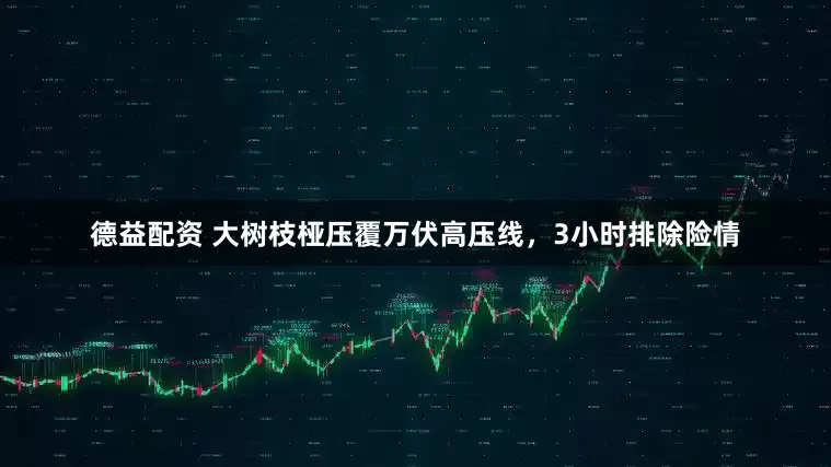 德益配资 大树枝桠压覆万伏高压线,3小时排除险情